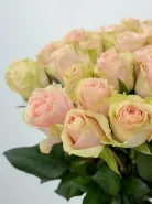 Букет: &laquo;Розовый рассвет Эквадора&raquo;