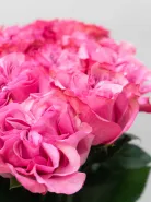 Букет: &laquo;Магия Пионовой Розы&raquo;