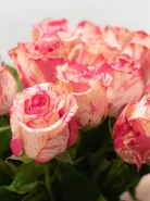 Букет: &laquo;Краски Сердца&raquo;