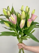 Букет: &laquo;Розовая Лили&raquo;