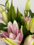 Букет: &laquo;Розовая Лили&raquo;