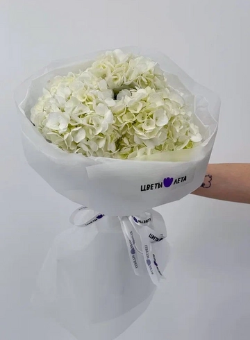 Букет: «Сливочная гортензия 3»  от интернет-магазина цветов в 