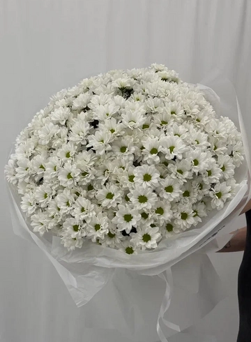 Букет &laquo;Ромашковое поле 25&raquo; от интернет-магазина цветов в 