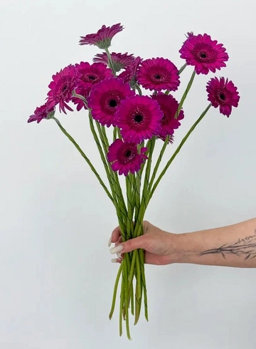 Букет: «Фиолетовая гербера»  от интернет-магазина цветов в 