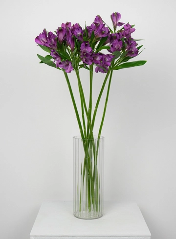 Букет мини: «Фиолетовая Альстромерия»  от интернет-магазина цветов в 