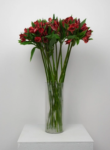 Букет медиум: &laquo;Красная Альстромерия&raquo;  от интернет-магазина цветов в 