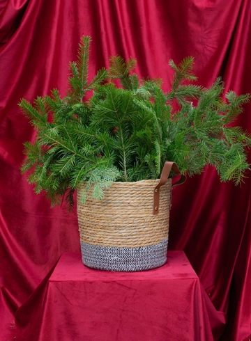 Композиция: &laquo;Морозная Свежесть&raquo; от интернет-магазина цветов в 