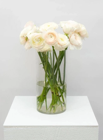 Ранункулюс  от интернет-магазина цветов в 