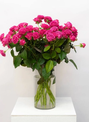 Кустовая Пионовидная Роза  от интернет-магазина цветов в 