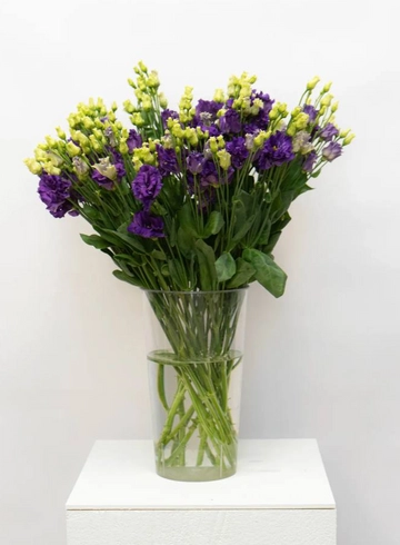 Эустома Фиолетовая  от интернет-магазина цветов в 