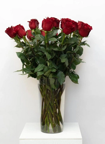 Роза Эквадор 80см  от интернет-магазина цветов в 